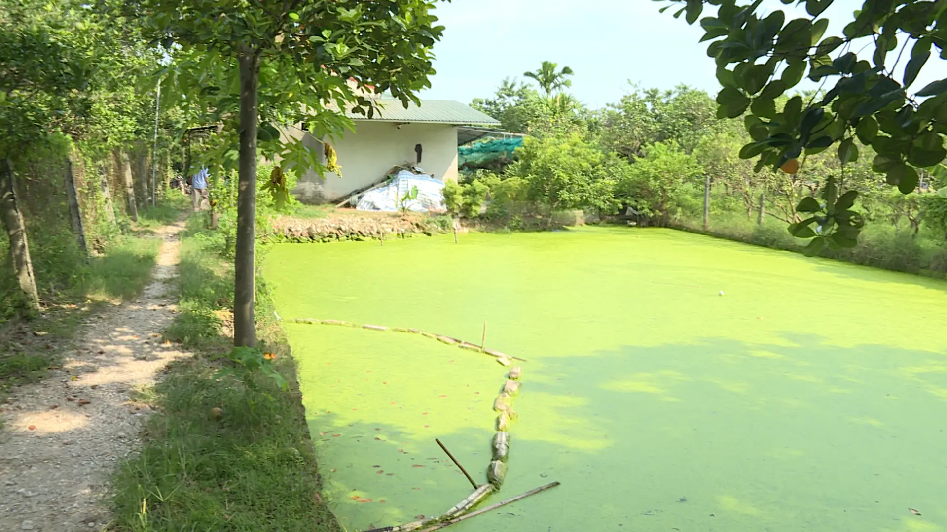 Cần sớm thực hiện kết luận của chính quyền cơ sở | Hộp thư truyền hình | 03/08/2025